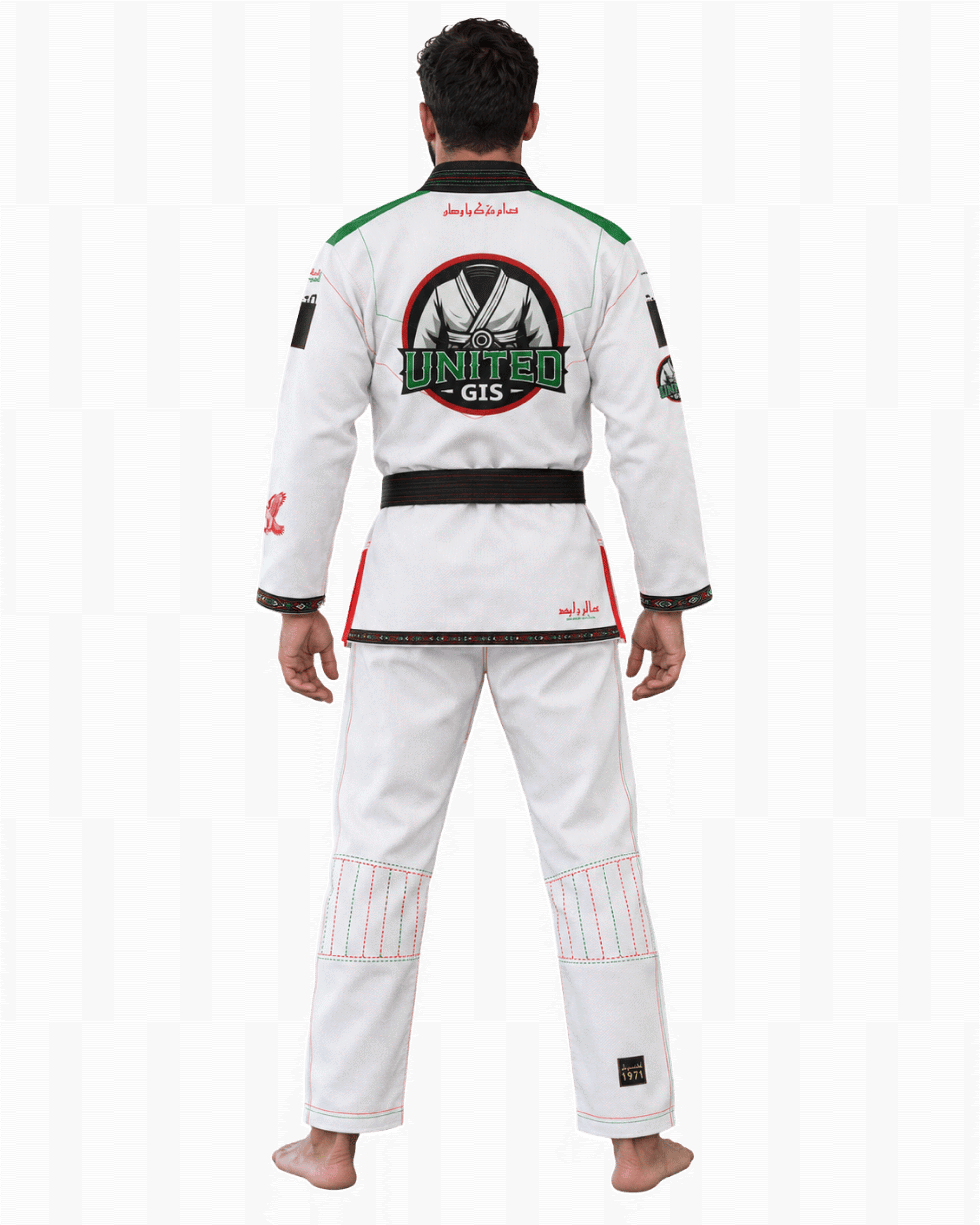 UAE GI image 1